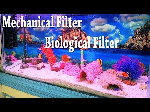 679# Diy Biological Filter | How to Build A Biological Fish Tank Filter (Urdu/Hindi)