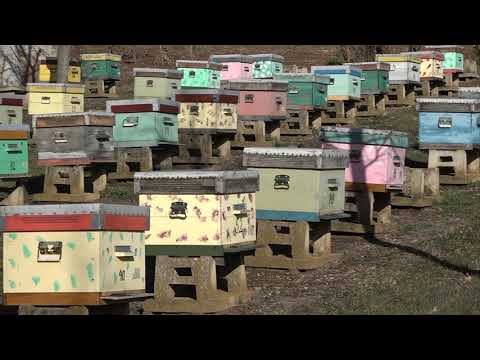 Agro karavan ep. 58 Knić 23.12.2018. NAJAVA