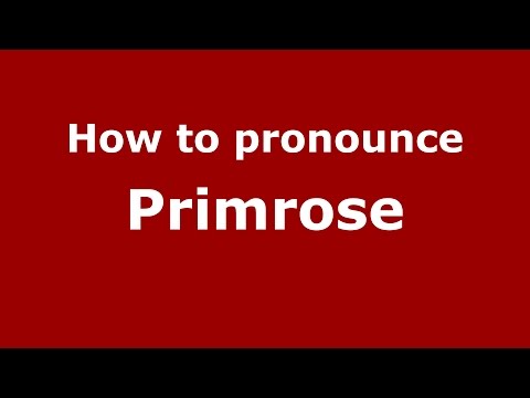 How to pronounce Primrose