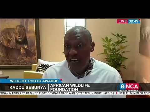 Wildlife Photo Awards Competition honours late Benjamin Mkapa