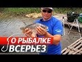 Ловля Крупного Карпа. №26 "О Рыбалке Всерьез". 