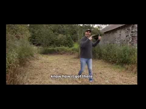 You never know what someone's got in their old barn😮👏 #lamborghini #espada #barnfind #classiccar #fy