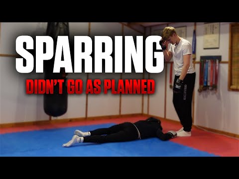 Testing my little brother then SPARRING him!