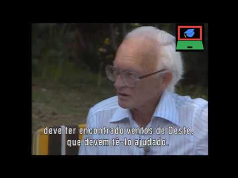 Bartolomeu Dias dobra o Cabo da Boa Esperança - estuda na net