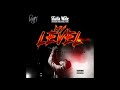 Shatta Wale My Level Audio Slide