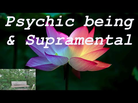 The psychic being and the Supramental - bench talks #1