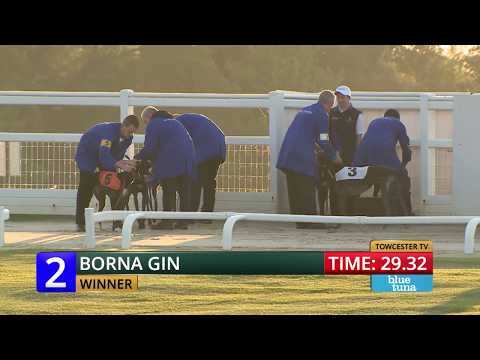 2018 STAR SPORTS DERBY - 1ST QF - T2 BORNA GIN