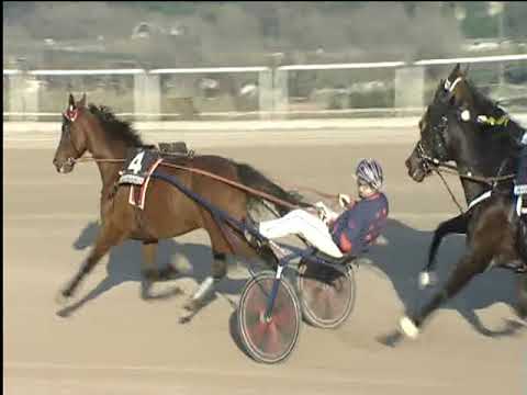 Trotto 22/03/2019 - 5ª corsa