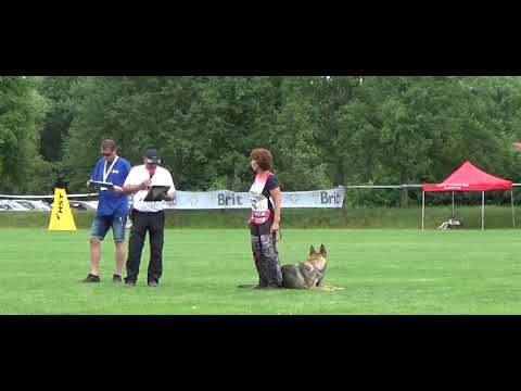 2019 Mistrovství ČR IGP (part 2 Jagira)