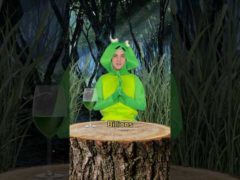 Frogs on a date #comedy #music #parody of How Deep Is Your Love by Calvin Harris & Disciples