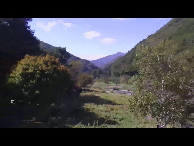 ミニ尾瀬公園