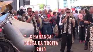 preview picture of video 'FESTA DA TROITA. 2013, SIGUEIRO-OROSO.'