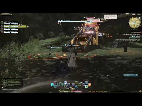 FFXIV: Leveling White Mage to 63 via duty roulette, daily quests and FATEs