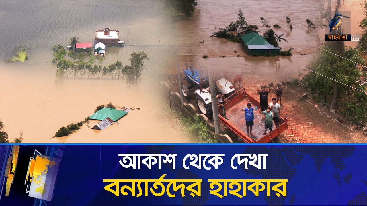 আকাশ থেকে দেখা বন্যার্তদের হাহাকার | Feni Flood | BD Flood News | Maasranga News