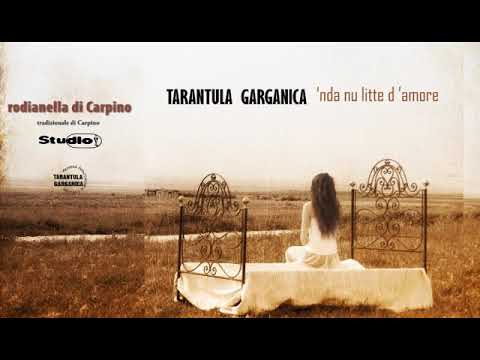 TARANTULA GARGANICA | rodianella di Carpino