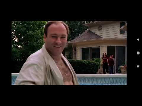 Maffiózók 1/1 - The Sopranos - Tony és a kacsák