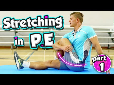 💪🏽Here's a STRETCHING routine you can use in any PE lesson + learn the muscles (part 1)