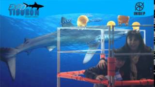 DIA 2 Expo Tiburon251