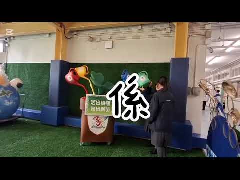 video-image