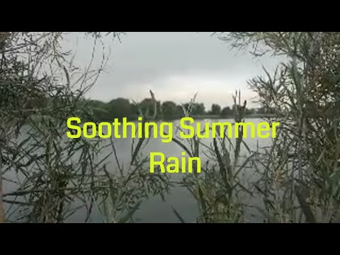 download lagu mp3 mp4 Summer Rain Quotes, download lagu Summer Rain Quotes gratis, unduh video klip Summer Rain Quotes