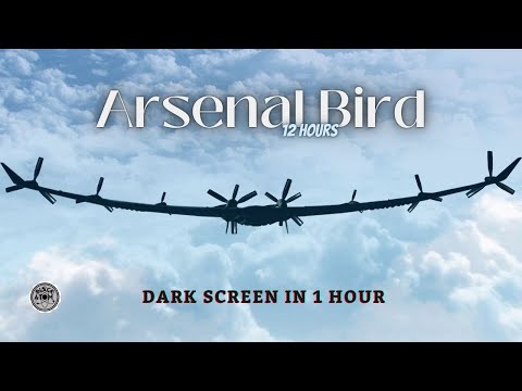 Arsenal Bird ⨀ 12 Hours - Dark Screen in 1 Hour ⨀