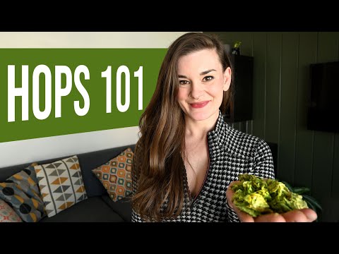 Hops 101: The Difference Between Hop Products and Addition Styles When Home Brewing