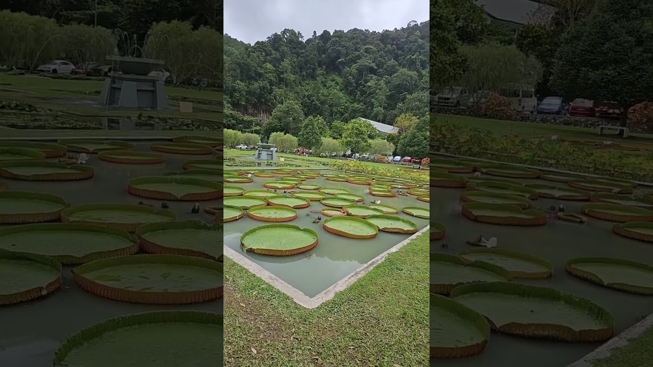 YouTube Short thumbnail