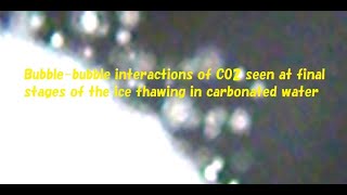 Bubble bubble interactions of CO2 seen at final stages of the ice thawing in carbonated water