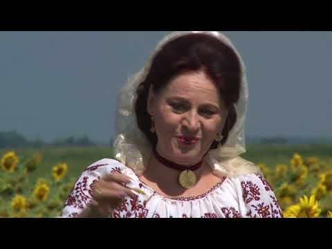 Elisabeta TURCU  -   Dragoste de o vară