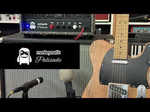 Monkeymatic Palisade PROTOTYPE -- 12 watt, hand built, tube guitar amp head image 7