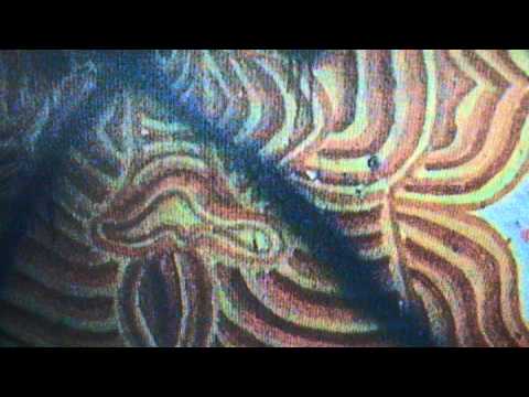 CΔT - Fall In (Official)