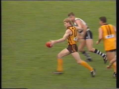 Hawthorn Season Wrap 1995 AFL Darren Jarman Leaves Peter Knights