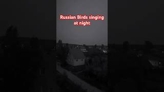 Download lagu Russian Birds Singing at Night #russia #viralvideo #youtubeshorts #india #москва mp3