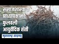 chandrapur समाजशास्त्राच्या प्राध्यापकाची शेतीत क्रांती आयुर्वेदिक शेतीतून लाखोंचे उत्पन्न