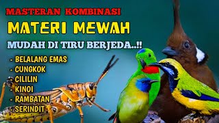 Download lagu Masteran kombinasi materi mewah untuk isian burung jawara‼️materi Belalang emas cungkok cililin DLL mp3