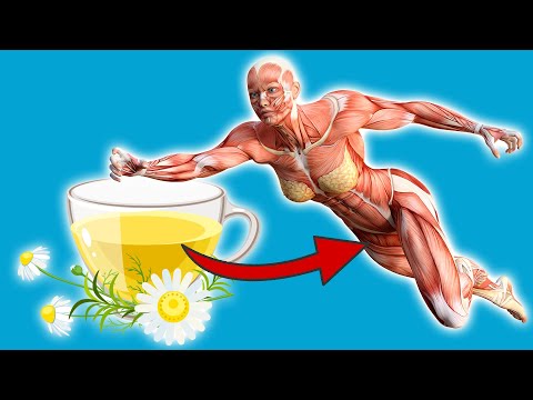 ERSTAUNLICHES passiert mit dir, wenn du jeden Tag Kamillentee trinkst 💥  (überraschend) ⚡️
