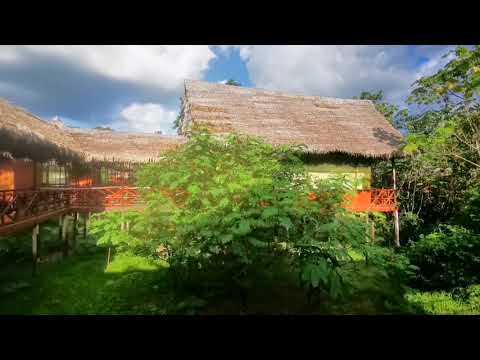 A leisurely walk around Kawsay Ayahuasca Retreat Lodge