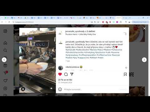Náhled pro video reference