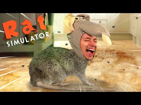 Frisch aus der Tonne | Rat Simulator