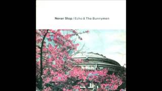 Echo & The Bunnymen Never Stop extended cover