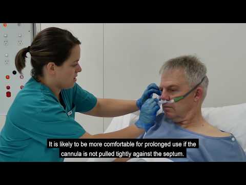 Cannula Fitting | F&P Airvo™ 2