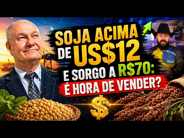 Soja acima de US$12 e Sorgo a R$70: É hora de vender?