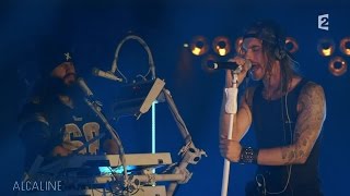 Alcaline, le Mag : Shaka Ponk - I&#39;m Picky en live