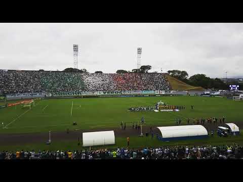 Hino Meu Palmeiras - Paraná Clube x Palmeiras - Estádio do Café - Londrina/PR - 18/11/18
