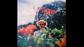 Rodrigo Amarante |  Irene