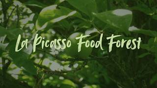 La Picasso Food Forest