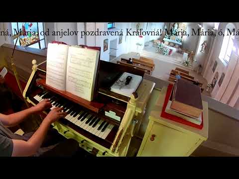 JKS - 381 - Tisícráz buď nami ctená (ein Marienlied)