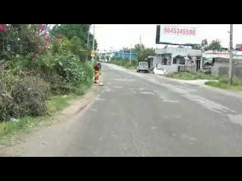 Gomathi Amma's attempt to save a stray dog