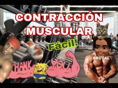 CONTRACCIÓN MUSCULAR: ¡Sencillito!