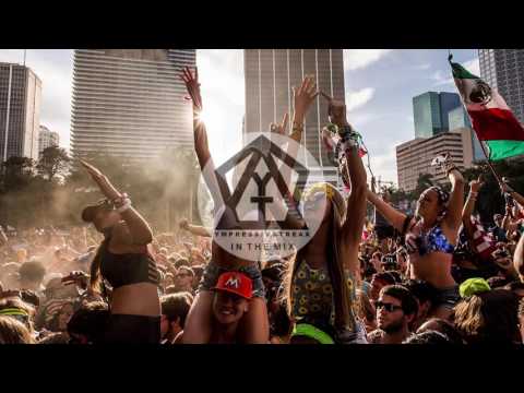 ♪ YTone - In The Mix #4 | EDM - Bounce ♪